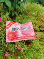 Roze Essence Pink Lady Secret Soap 100ml | নারীদের জন্য পিংক লেডি সাবান
